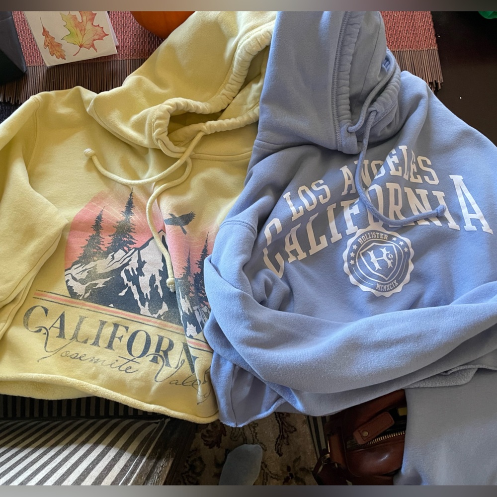 Bundle of 2 Hollister Cropped Hoodie Sweatshirts